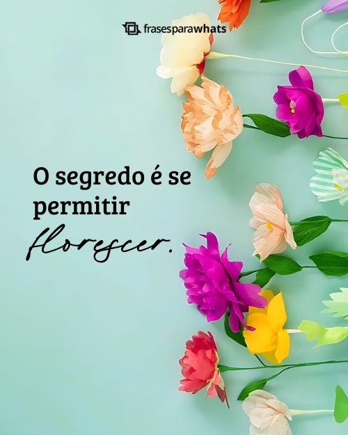 Frases para Fotos Sozinha +185 Opções Prontas para Arrasar nas Redes Sociais