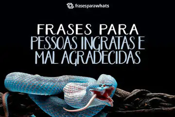 Imagem do post relacionado: Frases para Pessoas Ingratas e Mal Agradecidas